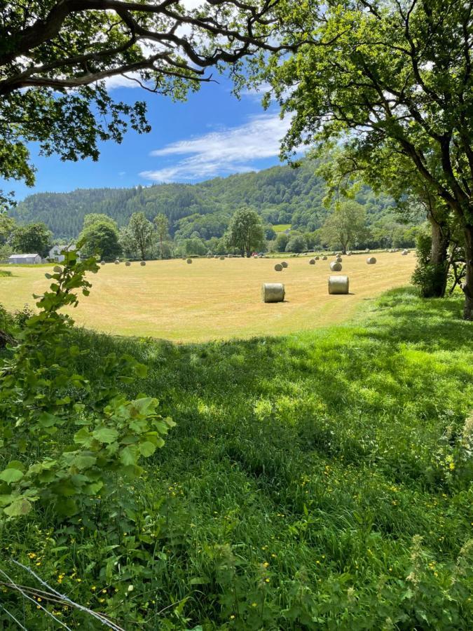 Glanrhyd Cottage เบเทส-อี-คอย ภายนอก รูปภาพ