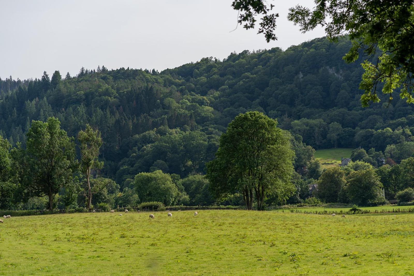 Glanrhyd Cottage เบเทส-อี-คอย ภายนอก รูปภาพ